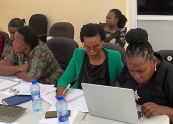 Validation Workshop for National Widows' Coordination Guidelines.
